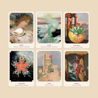 Seashell Oracle: 44 Card Deck and Guidebook