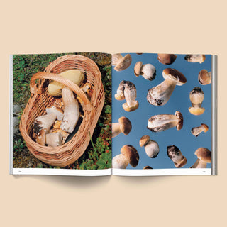Spores Magical Mushroom Photography Book