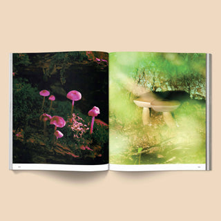 Spores Magical Mushroom Photography Book