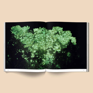Spores Magical Mushroom Photography Book