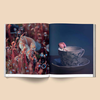 Spores Magical Mushroom Photography Book