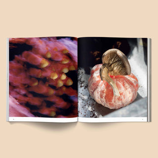 Spores Magical Mushroom Photography Book