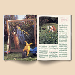 Catnip Magazine Vol. 2