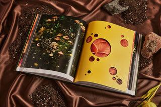 Spores Magical Mushroom Photography Book