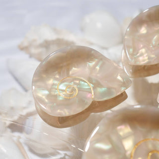 Siren Shell Mini Claw