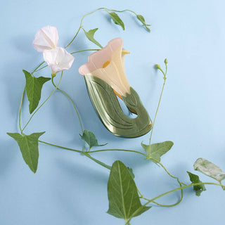 Datura Trumpet Flower Claw