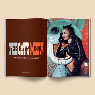 Catnip Magazine Vol. 2