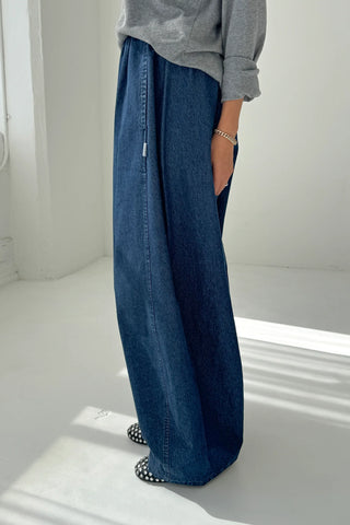 Parachute Cotton Pant in Denim Blue