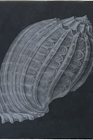 Nue Matchbox & Matches