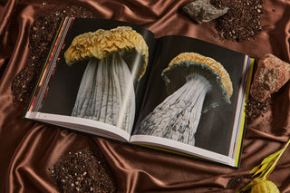 Spores Magical Mushroom Photography Book
