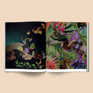 Spores Magical Mushroom Photography Book
